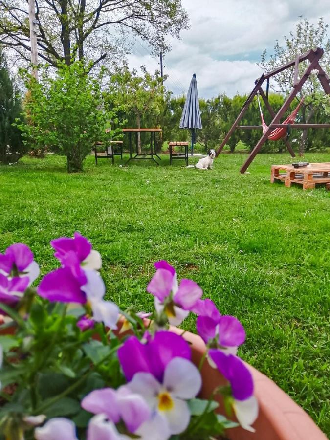 Gacka-Beautiful Place In Nature Otocsán Kültér fotó